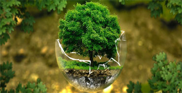 Environment